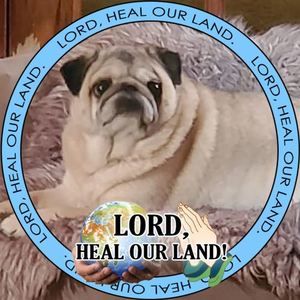 Meet your Posher, Kaye